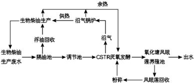 利用凤眼莲辅助综合处理生物柴油生产废水资源回收方法